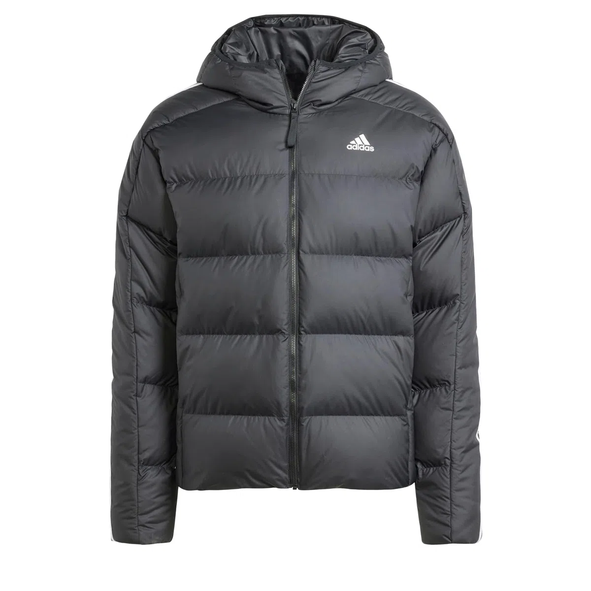 adidas Herren Essentials Midweight Down Hooded Stripes Jacket Daunenjacke (1er Pack)