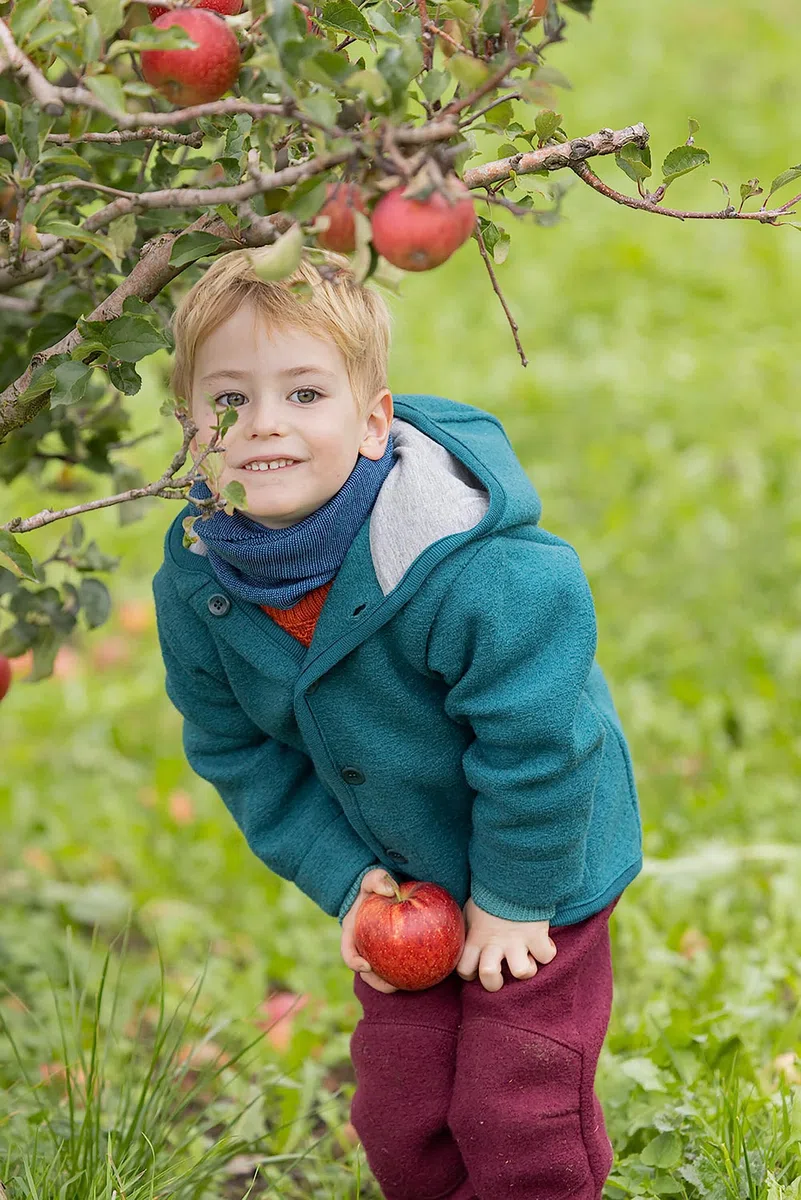 Disana WALK-JACKE, 100% Bio-Merinowolle GOTS, IVN Best | mit Kapuze | Baby Kleinkind Kind Unisex | Made in Germany