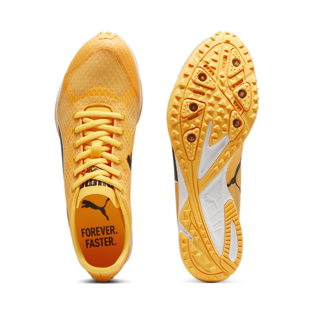 Puma Evospeed Haraka 8 Unisex Track and Field Shoe