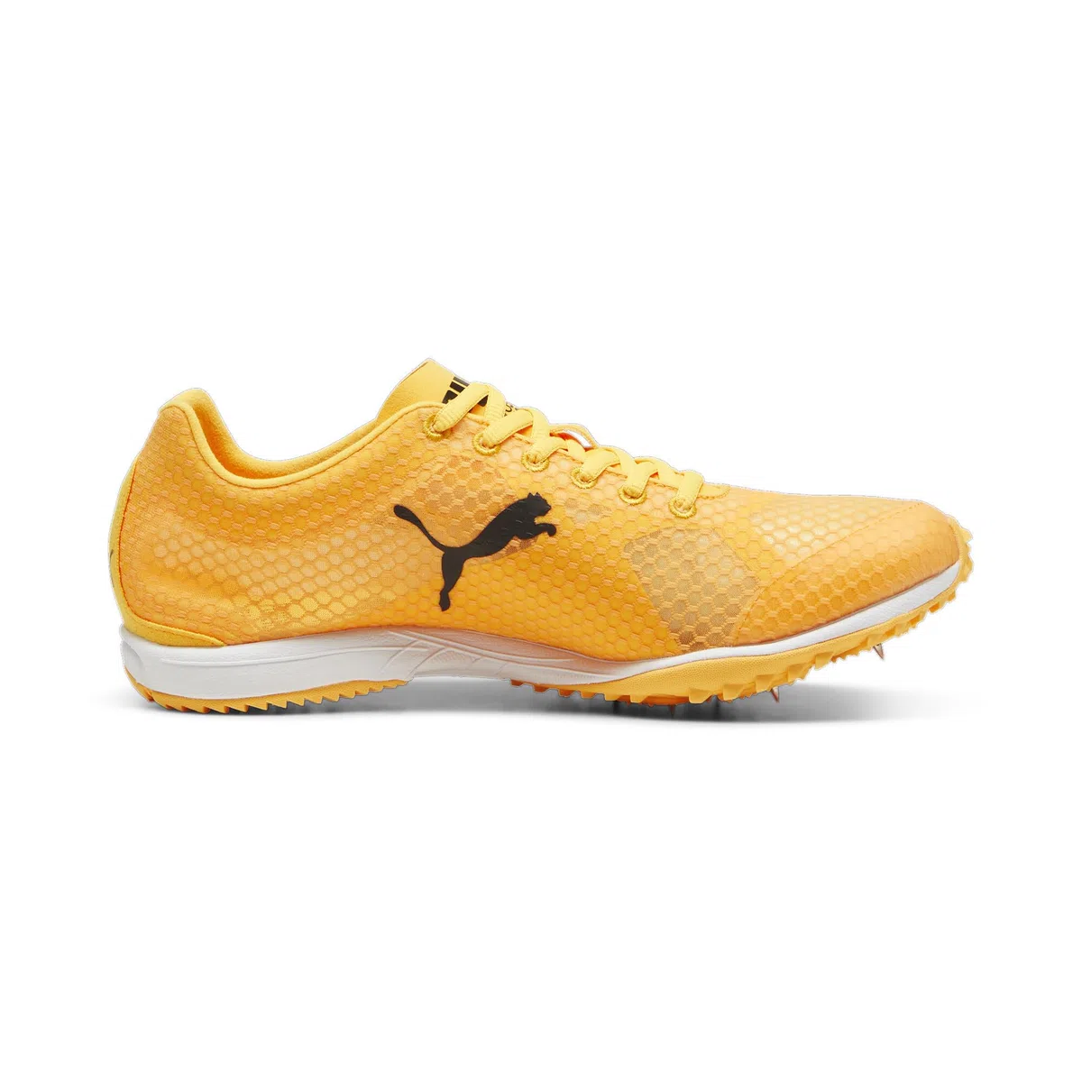 Puma Evospeed Haraka 8 Unisex Track and Field Shoe